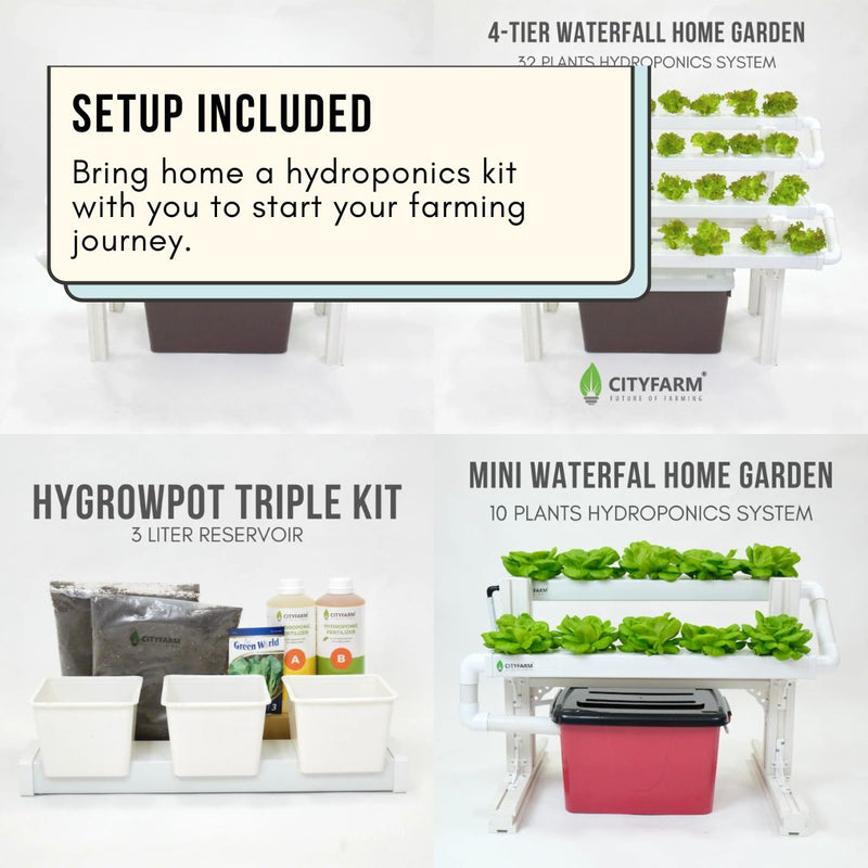 Hydroponics Farming Course with Farm Tour & Farm Set (23rd May 2026)