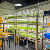 Hydroponics Urban Farming Workshop (5th September 2026)