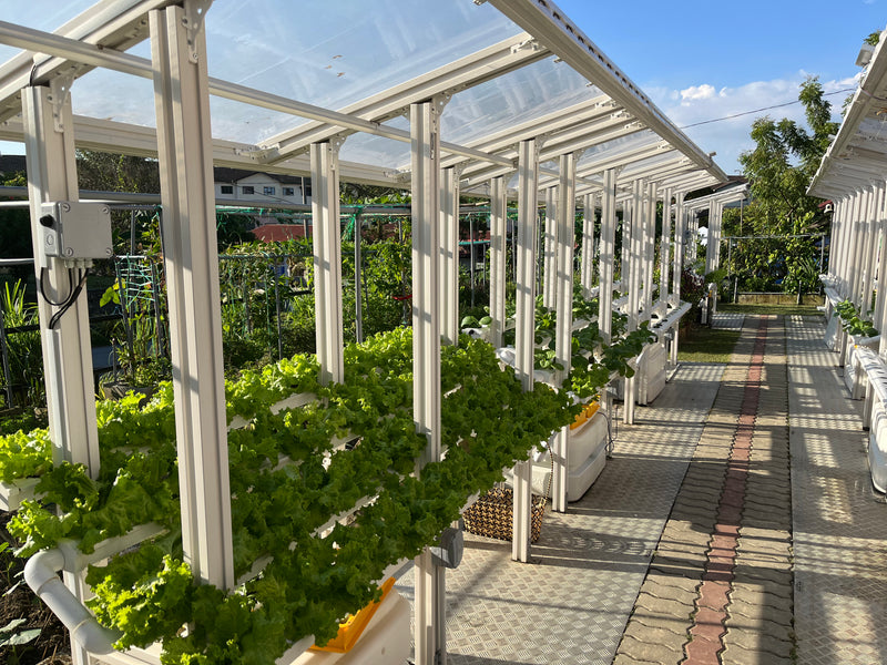 CityFarm 4-Tier Waterfall Home Garden L (7ft NFT Channel)