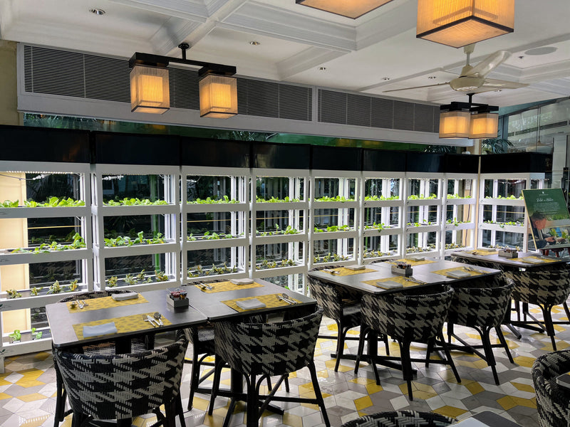 AutoPot Nuwa Tower (4-Tier Premium Indoor Farm)