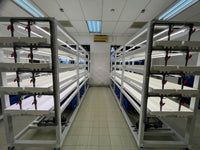 300mm x 65mm NFT Hydroponics Channel - CityFarm Malaysia - The Urban Farming Expert