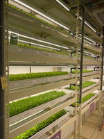 300mm x 65mm NFT Hydroponics Channel - CityFarm Malaysia - The Urban Farming Expert