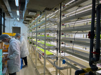 300mm x 65mm NFT Hydroponics Channel - CityFarm Malaysia - The Urban Farming Expert