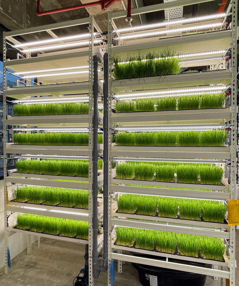 300mm x 65mm NFT Hydroponics Channel