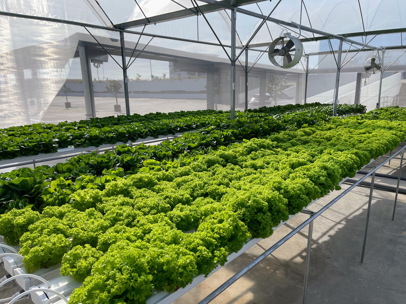 Termotecnica Pericoli ACF21P Cylindrical Air Circulation Fan