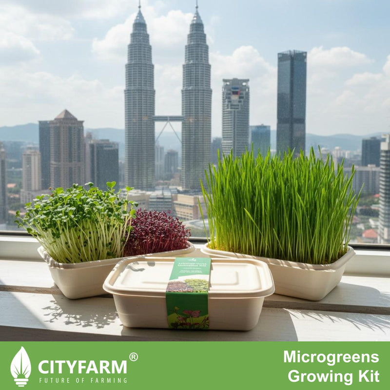 Microgreens Growing Kit with Red Amaranth and Radish