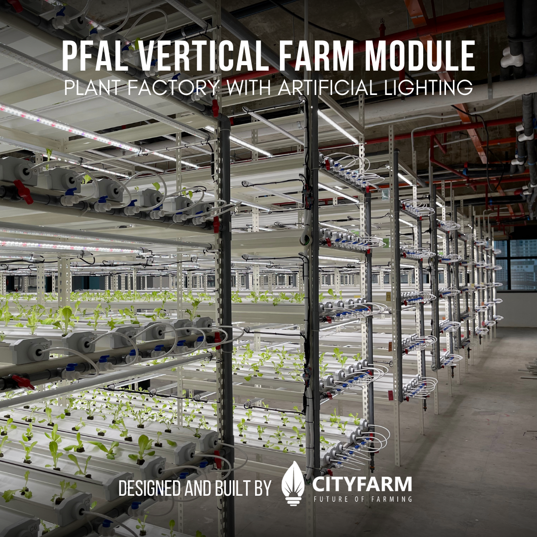 4 Level Plant Factory with Artificial Light(PFAL) Vertical Farm Module ...