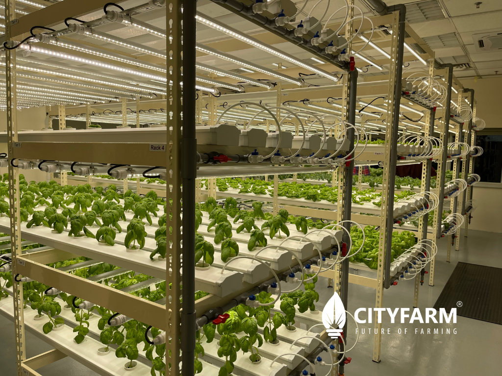 4 Level Plant Factory with Artificial Light(PFAL) Vertical Farm Module ...