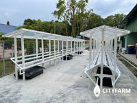 CityFarm 4-Tier 15ft Waterfall Farm with Solar Kit 2026 - CityFarm Malaysia - The Urban Farming Expert