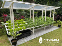 CityFarm 4-Tier 15ft Waterfall Farm with Solar Kit 2026 - CityFarm Malaysia - The Urban Farming Expert