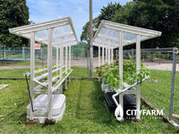 CityFarm 4-Tier 15ft Waterfall Farm with Solar Kit 2026 - CityFarm Malaysia - The Urban Farming Expert
