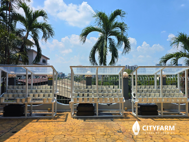 HexaPot Waterfall Farm L