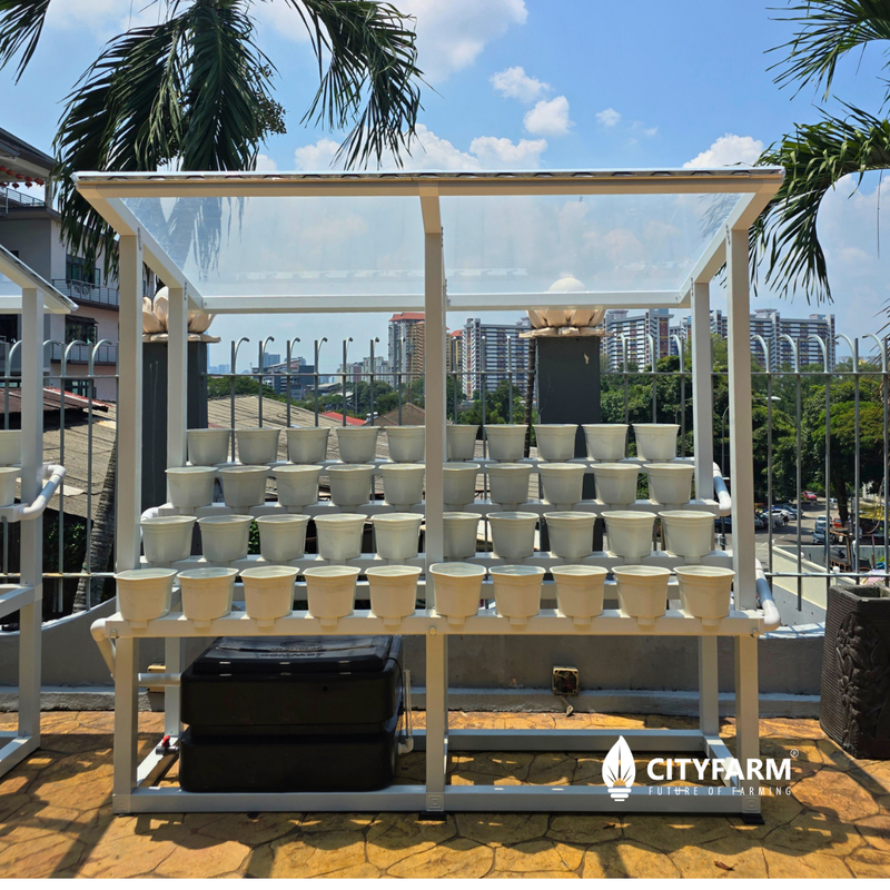 HexaPot Waterfall Farm L