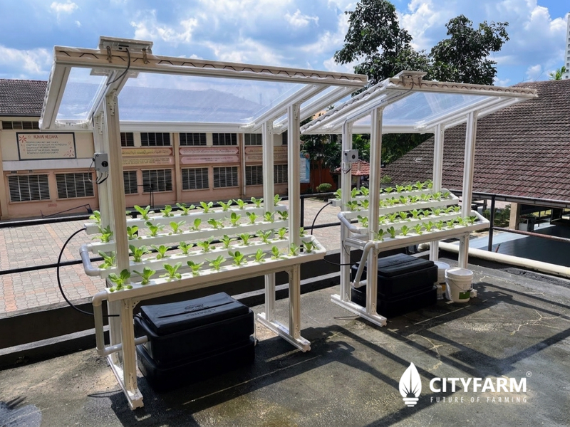 CityFarm 4-Tier 5ft waterfall Farm with Solar Kit 2026