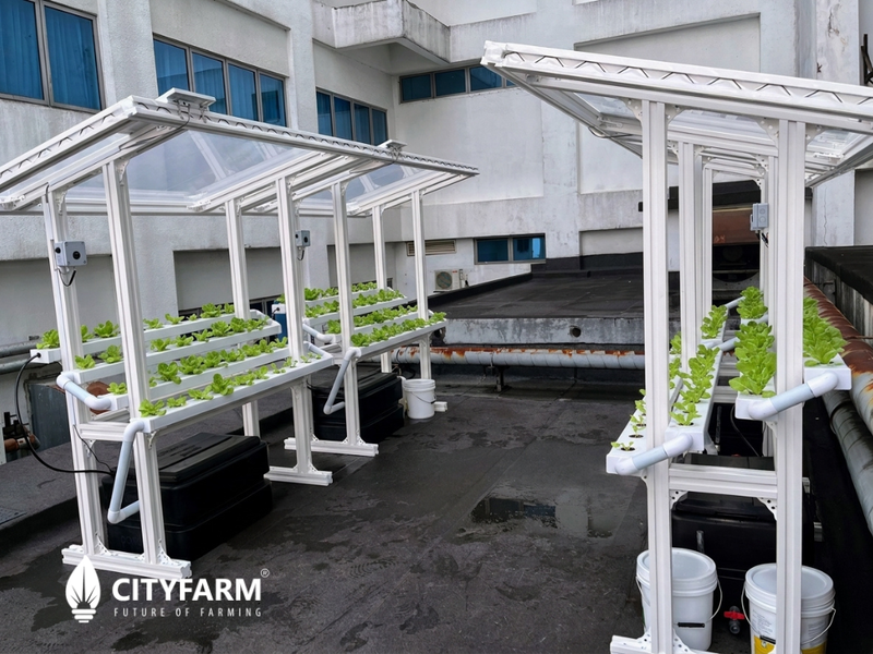 CityFarm 4-Tier 5ft waterfall Farm with Solar Kit 2026