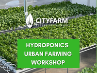 Hydroponics Urban Farming Workshop (5th September 2026)