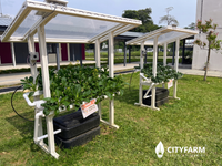 CityFarm 4-Tier 5ft waterfall Farm with Solar Kit 2026