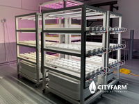 City Vertical Farm XL