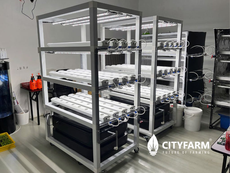 City Vertical Farm XL