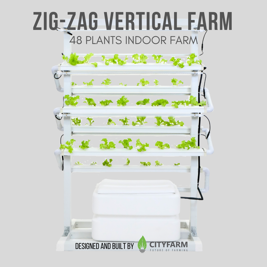 Indoor Zig-Zag Vertical Farm