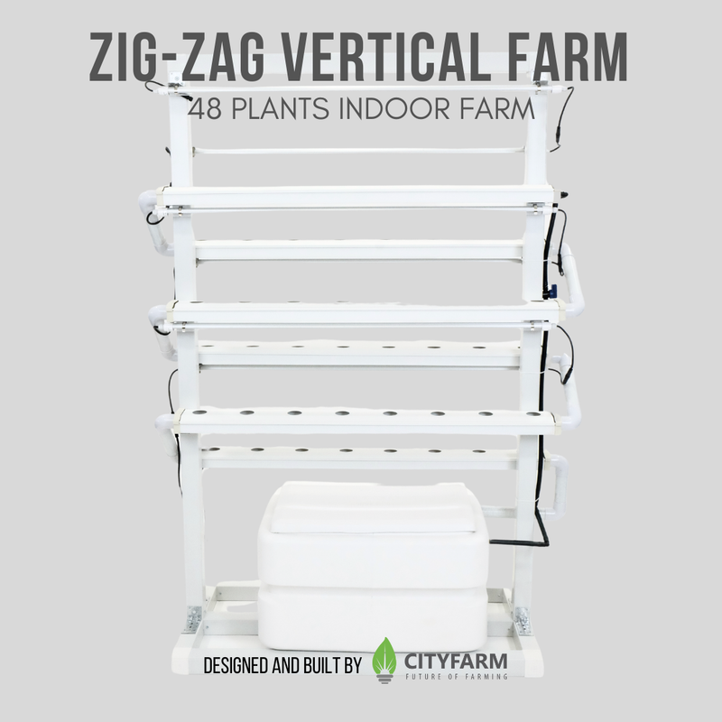 Indoor Zig-Zag Vertical Farm 2024