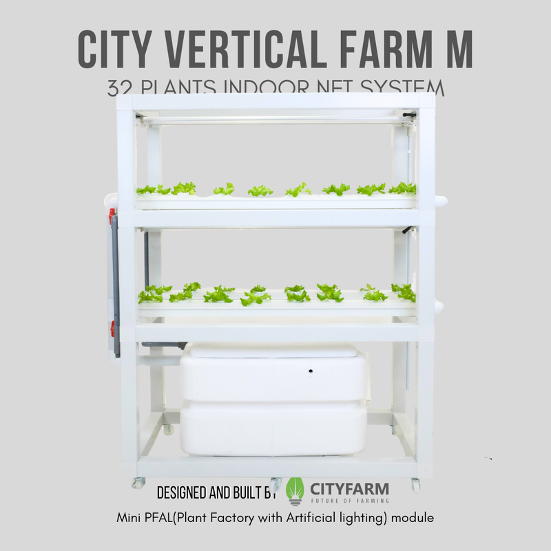 City Vertical Farm M 2024