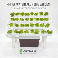 Hydroponics Farming Course with Farm Tour & Farm Set (23rd May 2026)