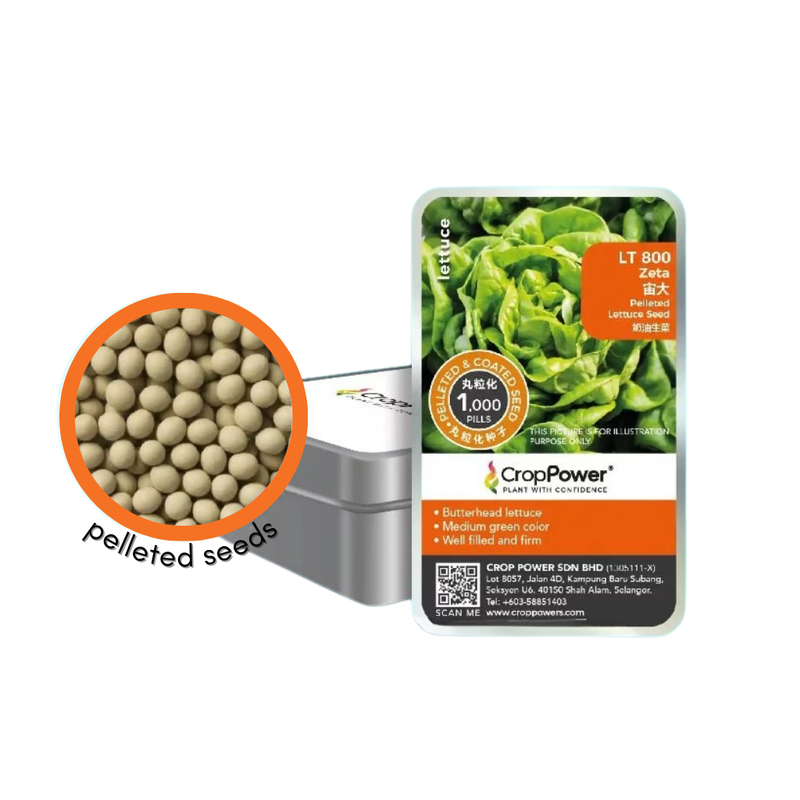Crop Power Zeta LT800 Butterhead Lettuce Pelleted Seeds (1000 pills)