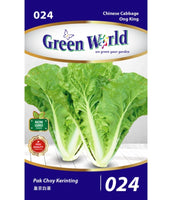 Chinese Cabbage - Ong King - CityFarm Malaysia - The Urban Farming Expert