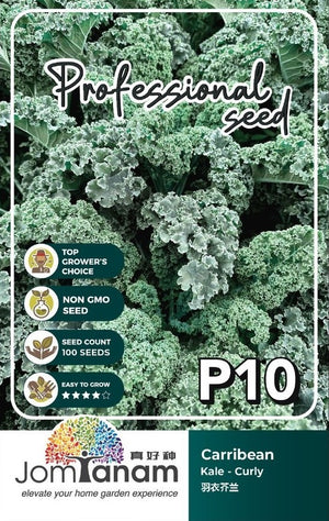 F1 Curly Kale Carribean P10