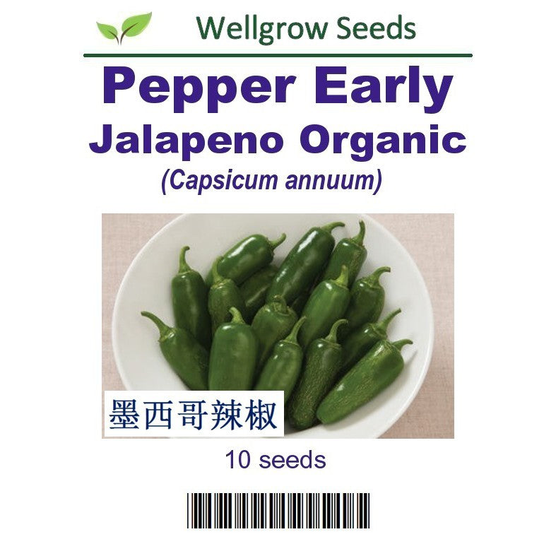 WHT- Pepper Early Jalapeno Organic - CityFarm