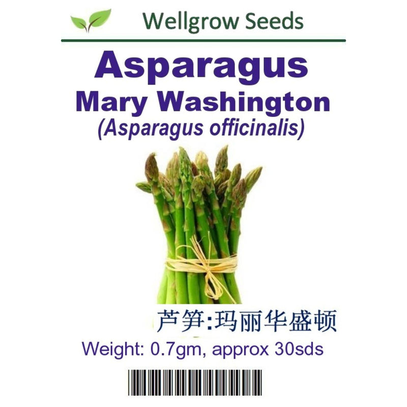 Asparagus Mary Washington Seeds(0.7gm approx 30seeds) - CityFarm