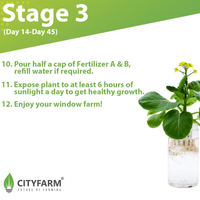 City Window Farm (All Inclusive Beginner Kit) - CityFarm Malaysia - The Urban Farming Expert