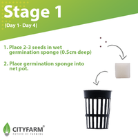 City Window Farm (All Inclusive Beginner Kit) - CityFarm Malaysia - The Urban Farming Expert