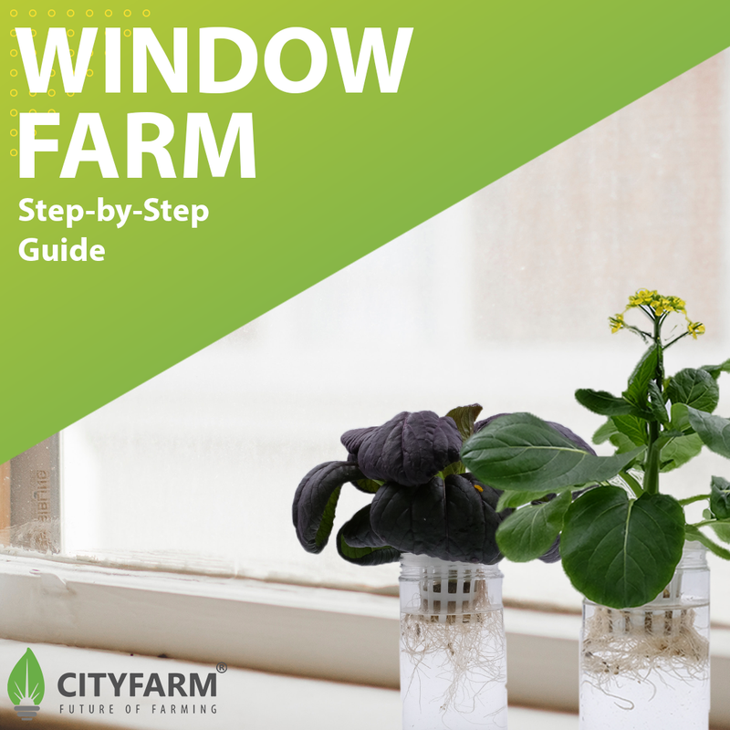 City Window Farm (All Inclusive Beginner Kit)