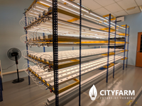 4 Level Plant Factory with Artificial Light(PFAL) Module - CityFarm