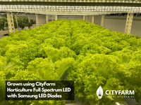 4 Feet CityFarm Horticulture Full Spectrum LED T8 Growlight - Wire Link Connection