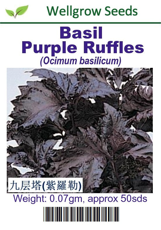 WHT - Basil Purple Ruffles - CityFarm