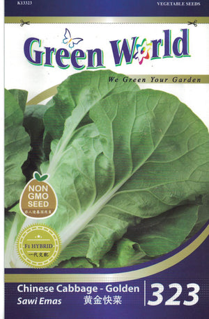 Chinese Cabbage - Golden - CityFarm