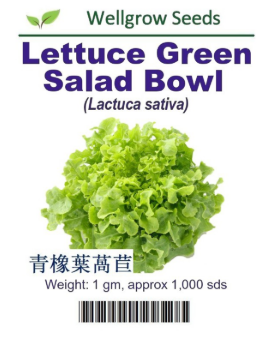 WHT - Lettuce Green Salad Bowl - CityFarm