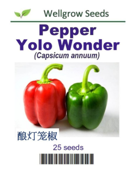 WHT - Pepper Yolo Wonder - CityFarm