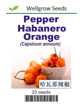 WHT - Pepper Habenero Orange - CityFarm