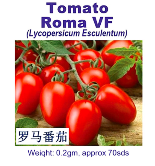 WHT - Tomato Roma VF (0.2gm, approx. 70 sds) 罗马番茄