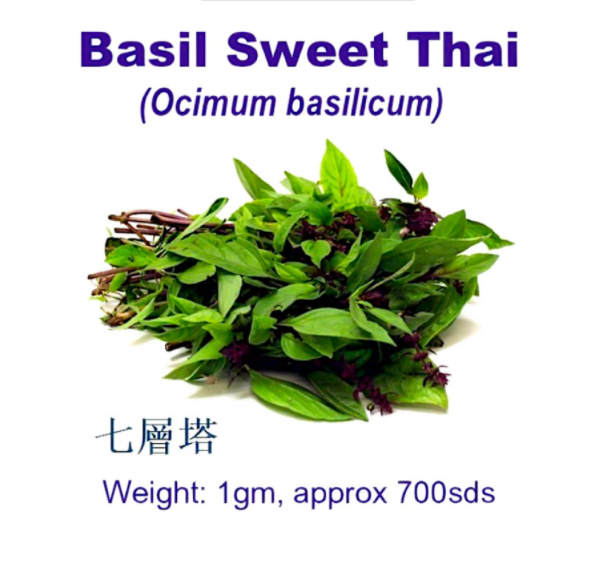 WHT Basil Sweet Thai 1gm approx 700 sds CityFarm