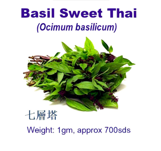 WHT - Basil Sweet Thai (1gm, approx 700 sds) 七層塔