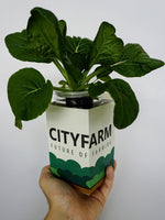 City Window Farm (All Inclusive Beginner Kit) - CityFarm