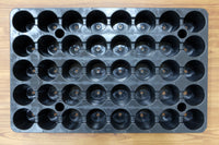 Net Pot Tray (40 holes) - CityFarm