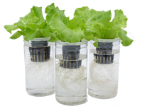 City Window Farm (All Inclusive Beginner Kit) - CityFarm