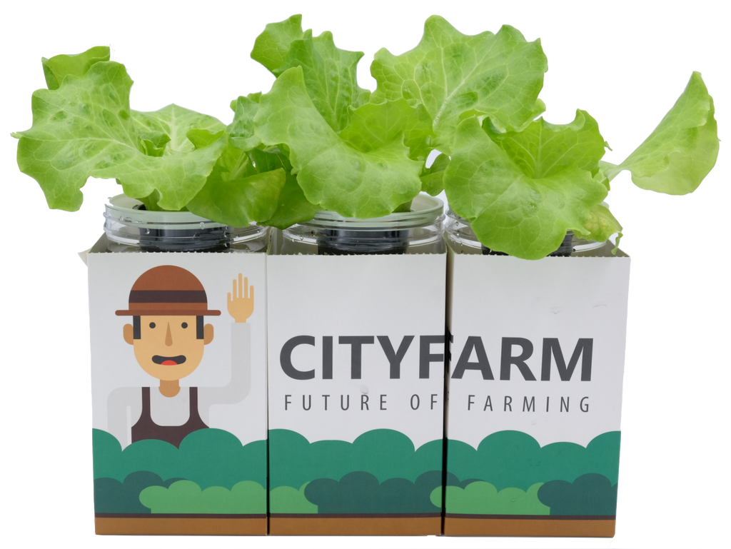 City Window Farm (All Inclusive Beginner Kit) - CityFarm
