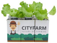 City Window Farm (All Inclusive Beginner Kit) - CityFarm